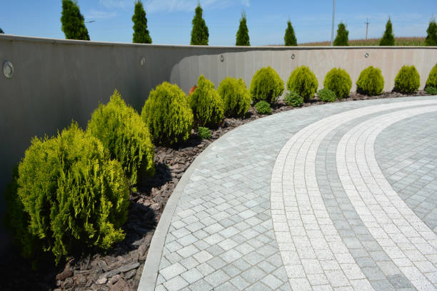 Best Permeable Paver Driveway  in West University Place, TX